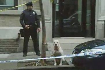 Outside the apartment building, a cop watches Bones the dog